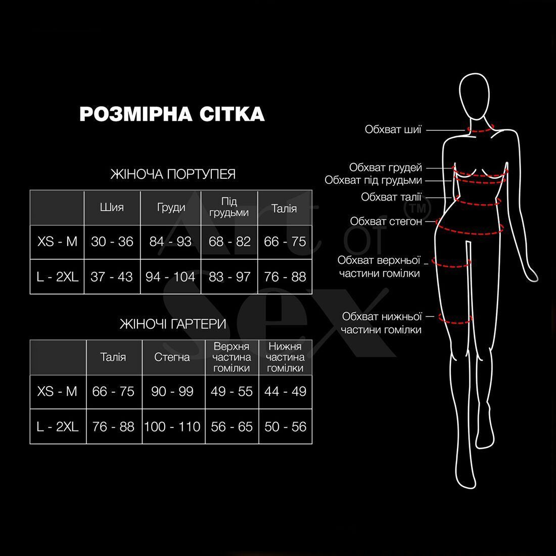 Сексуальна портупея жіноча Art of Sex - Roxi, розмір XS-2XL, колір чорний